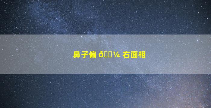 鼻子偏 🐼 右面相